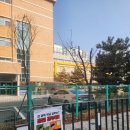 대전새여울초등학교 이미지