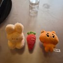 목책미로 | 2026.4월 기록