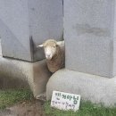 조슈아 트리, 나랑 안 맞는 줄 알았는데 사귀게 됨