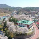 충청남도 역사박물관 이미지