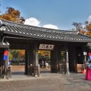 한국민속촌 이미지