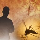 리우교역 이미지