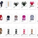 브리스건강기능성속옷 이미지