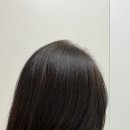 헤어펠로우