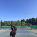 양평체육공원길 | 양평누리체육공원 테니스장 이용후기 : 예약방법 가격 주차