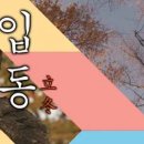 24절기 중의 하나인 입동(立冬)의 뜻, 유래, 특징, 타 절기와의 차이점, 유사 및 반대개념의 용어, 고사성어, 속담, 영어표현 등 이미지