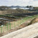 유진 태양광발전소 이미지