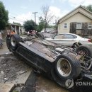 버지니아
