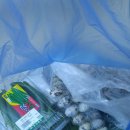 탄원동 모닝마트 정시 천원 천원 세일 이미지