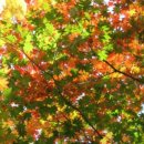 바람아래 이미지