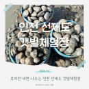 서해 갯벌체험 추천 서울근교 선재도갯벌체험장 바지락 진짜 많아요