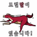 루시아 이미지