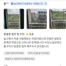 킹콩홈케어 이미지