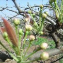 한우물농장 이미지