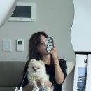 백수농협앞게시대 | 초 여름에 갔다 온 전리도 산 밑에 끝 집 에어비엔비 촌캉스 후기