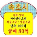 강릉부동산씨리얼 공인중개사사무소 | [속초호텔매매] 속초 호텔 매매 교동 관광호텔 80억, 주차 완비 및 역세권 신도시 프리미엄 2029년 KTX...