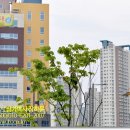 한솔수학해법영어보습학원