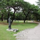 서해조선 | 소나무가 산을 이룬 자리