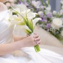 졸리쥬드(Joli_jud) - 웨딩 본식 대구 부케 말리기 내 돈 내산