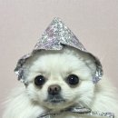 아성컴퍼니 이미지