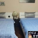 힐링하우스민박 이미지