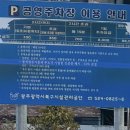 신안동10 | 신안동 차즈카 신상카페 낮과 밤 두번 방문한 후기