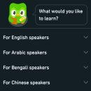 체스 | 🎓 체스를 두며 언어를 배우다? 듀오링고 체스 직접 체험 후기!
