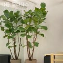 온누리동화약국 이미지