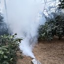 외기농장 | 병해충 걱정없는 감귤 농가의 비밀! 무인방제기 시연후기