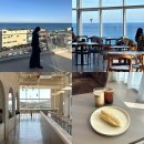 오션 아레나 | 경주 감포 대형 카페 아레나피나 오션뷰 후기