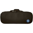 우쿨렐레 연주 이미지