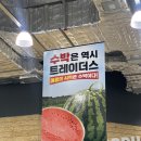 인천 구월동 트레이더스 수박가격 및 할인상품 정보 맛있는 수박 고르는 방법 꿀팁 후기