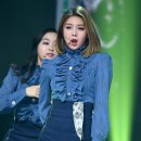 다미 한국경제