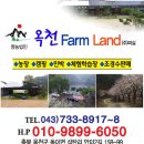 옥천IC(서울)