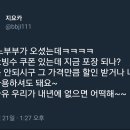 드립 온 티스토리