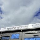 헤이댕댕 이미지