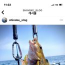 참바다피싱 이미지