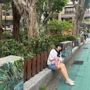 983 | 대만 타이베이 여행준비 #3 이스타 ZE983 온라인체크인 및 탑승후기 꿀팁