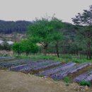 안흥종묘사 이미지