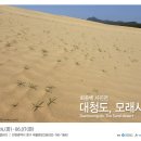 사막의섬 이미지