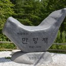 만항재 삼나무숲과 천상의화원(무심재여행2024.8.1) 이미지