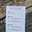 이장우 호두과자 부창제과 :) 대구 신세계백화점 나들이