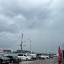 감포은정복어횟집 이미지