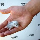 작은동물원 이미지