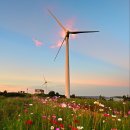 큐코리아 이미지