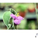 송정하우스 - 해운대구 송정중앙로 40-12 | 송정하우스