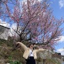 평화김해뒷고기 통도사점