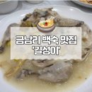금남리 맛집 추천 :: 애견동반 가능, 길성이 누룽지 백숙