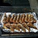 어울림펜션 캠핑장 이미지