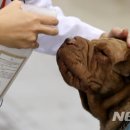 아로마교육전문가양성과정 이미지